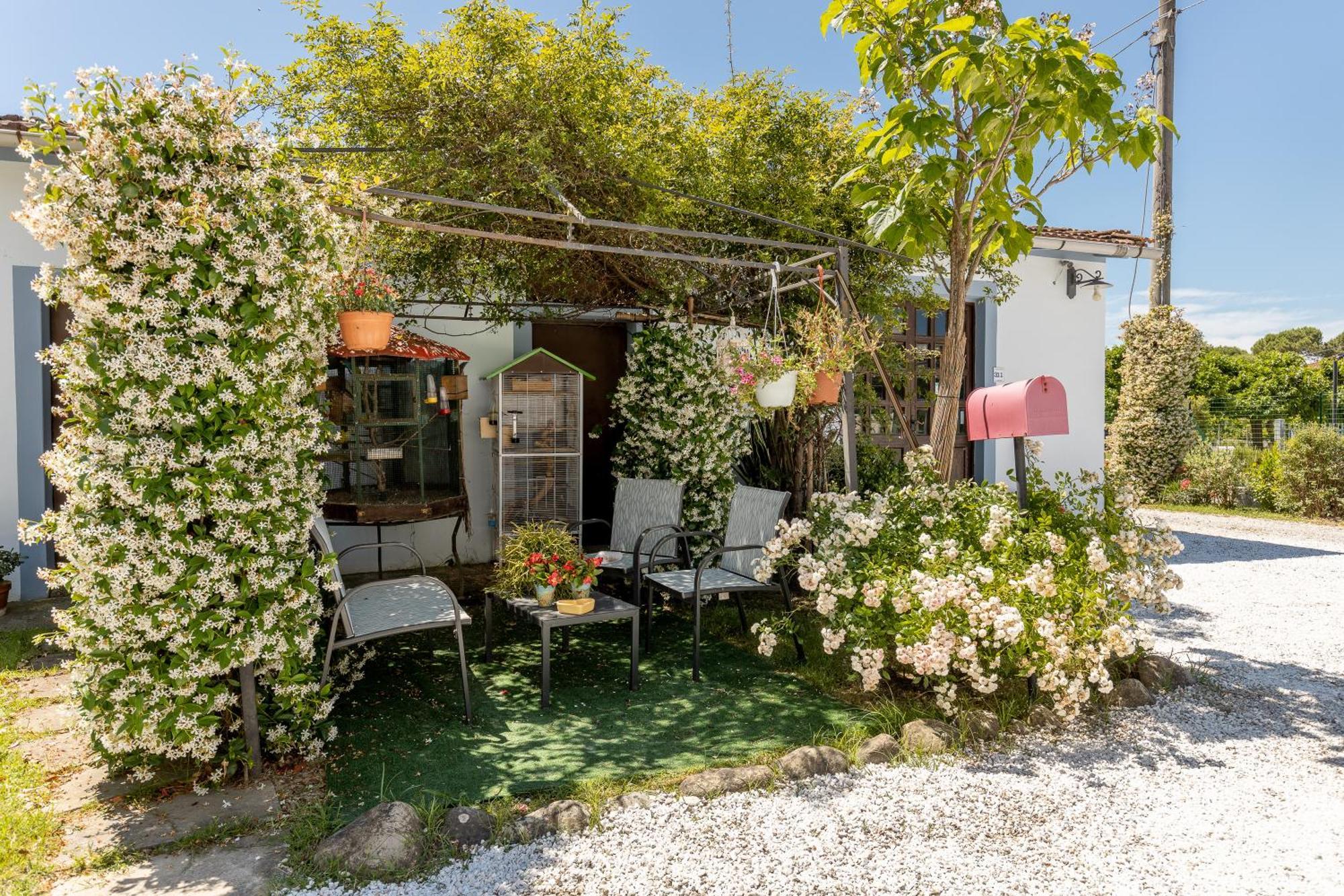 B&B Il Ramaiolo Santa Maria a Monte Ngoại thất bức ảnh