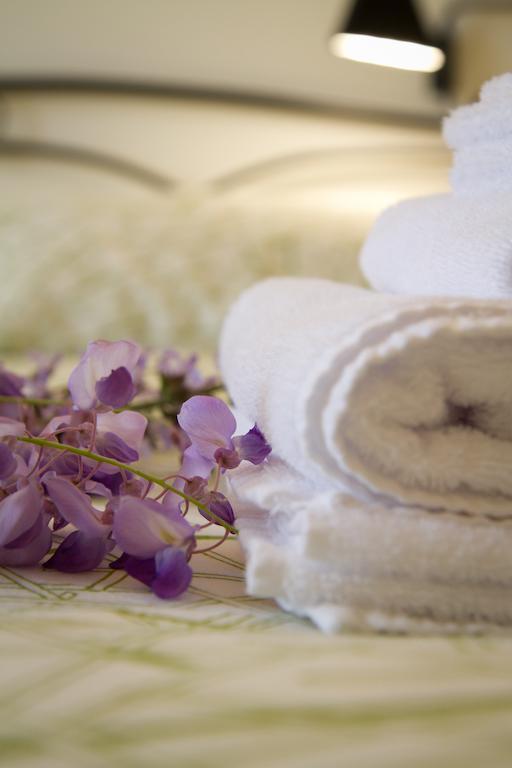 B&B Il Ramaiolo Santa Maria a Monte Ngoại thất bức ảnh